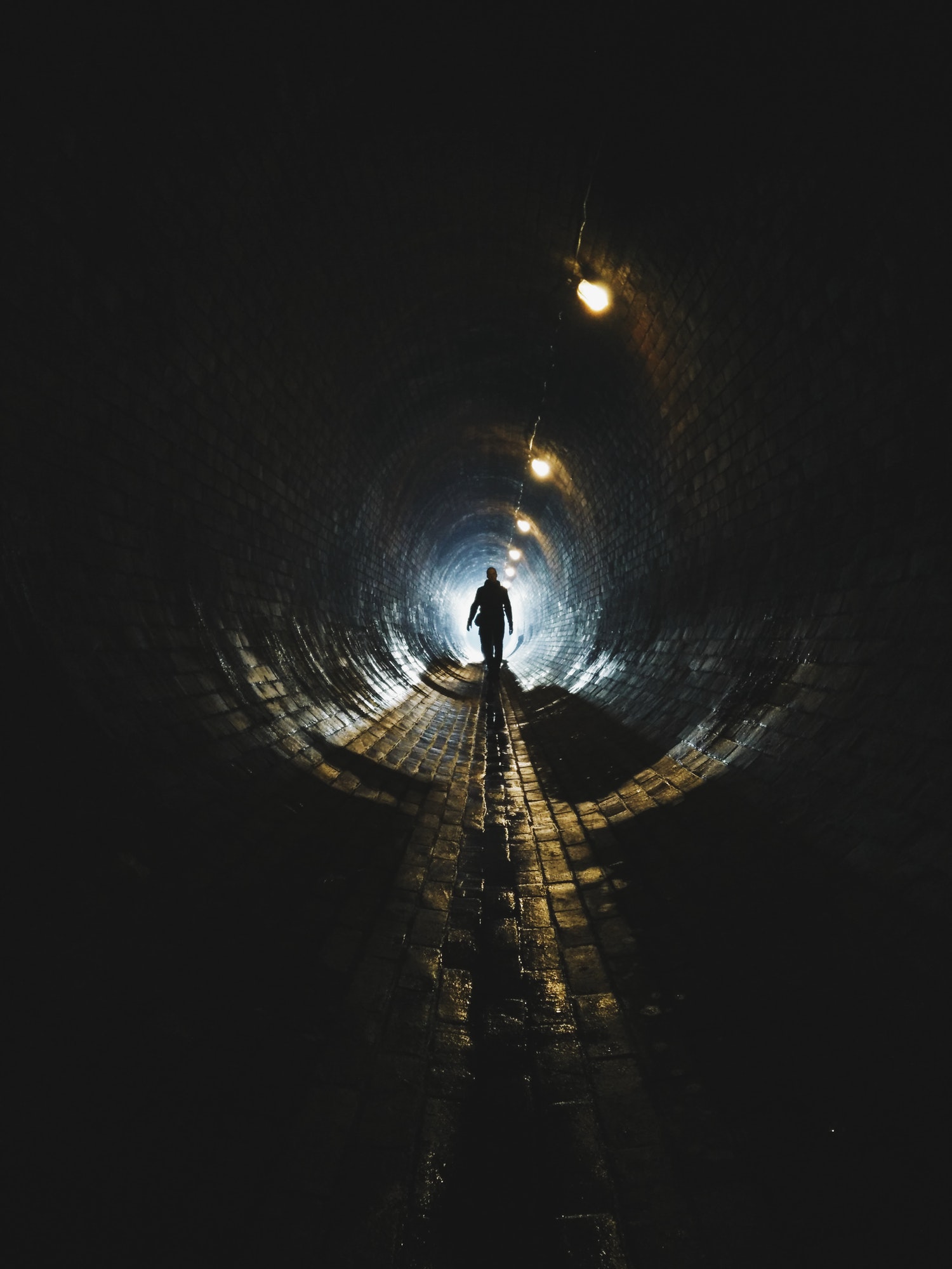 Comment la voyance gratuite par chat peut apporter de la clarté dans votre vie