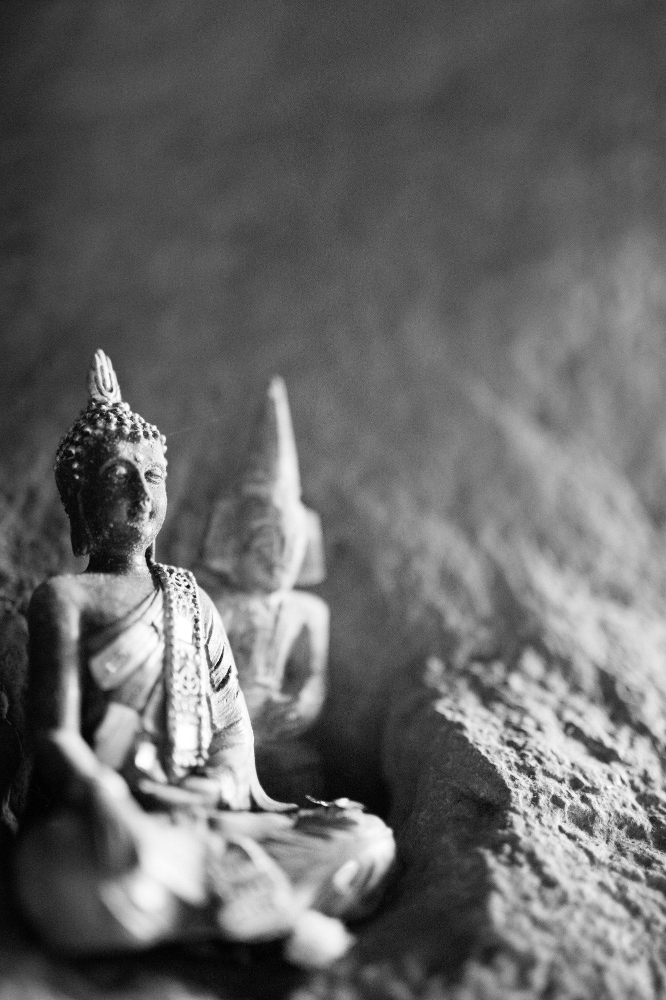 Comment développer une connexion avec un voyant gratuit par chat